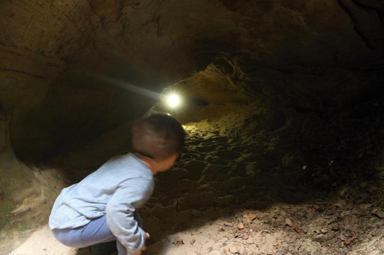Ubytovani Na Sypce Bela  المظهر الخارجي الصورة